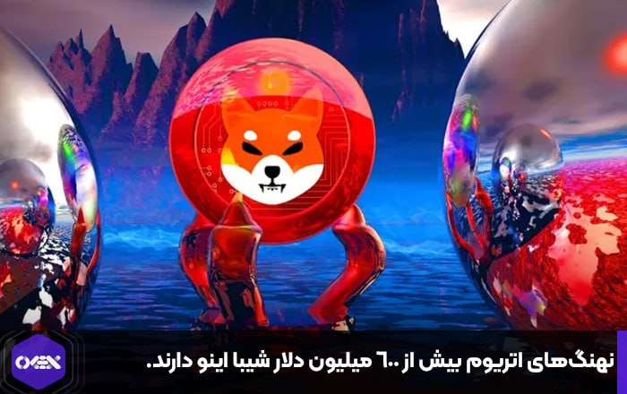 نهنگ‌های اتریوم بیش از ۶۰۰ میلیون دلار شیبا اینو دارند.