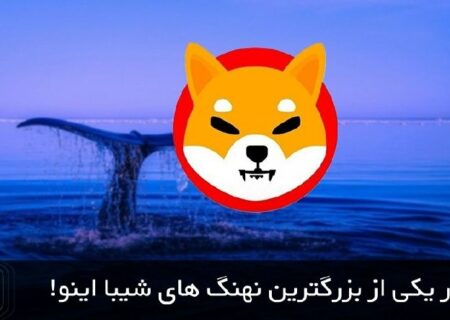 به تازگی یک نهنگ بزرگ برای شیبا اینو (SHIB) ظهور کرده است!