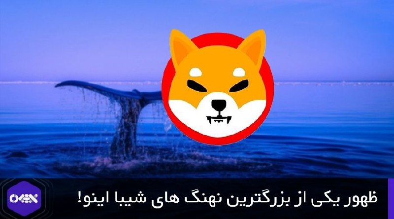 به تازگی یک نهنگ بزرگ برای شیبا اینو (SHIB) ظهور کرده است!