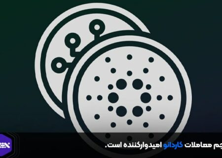 حجم معاملات کاردانو امیدوارکننده است.