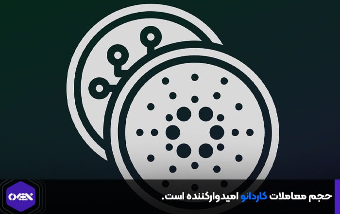 حجم معاملات کاردانو امیدوارکننده است.