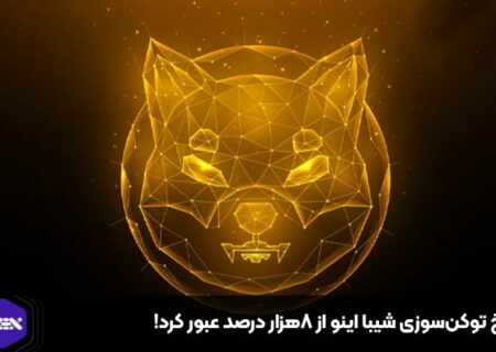 نرخ توکن‌سوزی شیبا اینو از ۸هزار درصد عبور کرد!