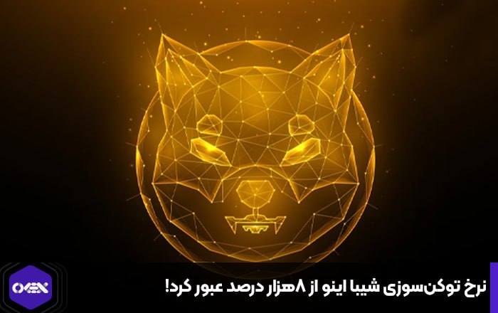 نرخ توکن‌سوزی شیبا اینو از ۸هزار درصد عبور کرد!