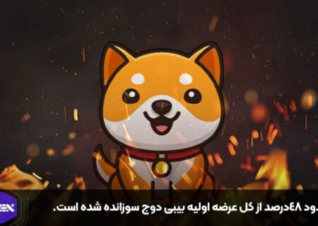 حدود ۴۸درصد از کل عرضه اولیه بیبی دوج سوزانده شده است.