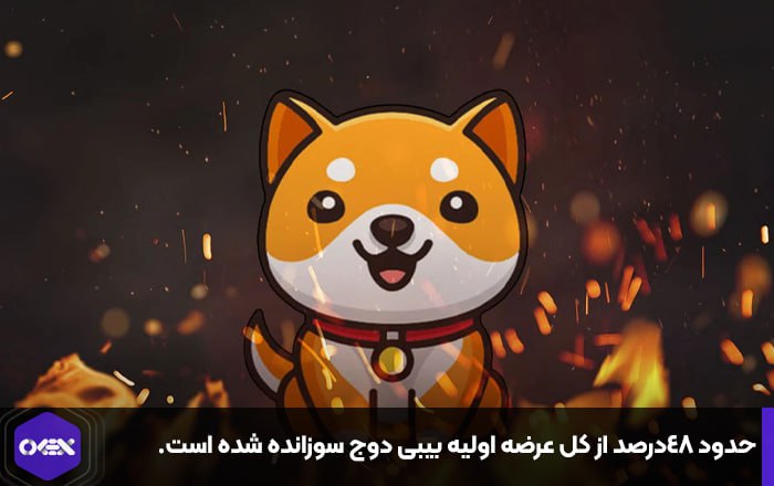 حدود ۴۸درصد از کل عرضه اولیه بیبی دوج سوزانده شده است.