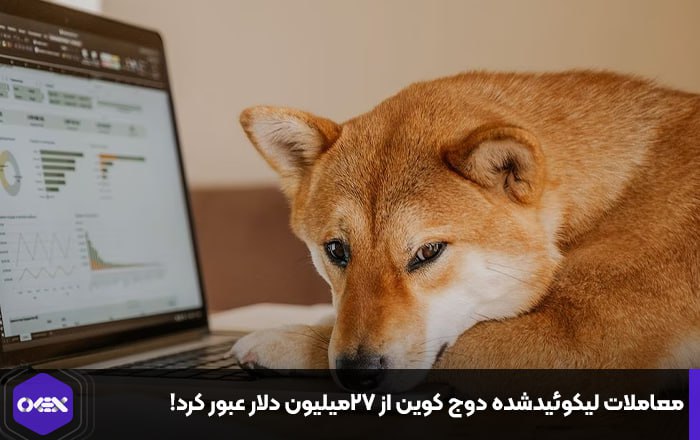 معاملات لیکوئیدشده دوج کوین از ۲۷میلیون دلار عبور کرد!