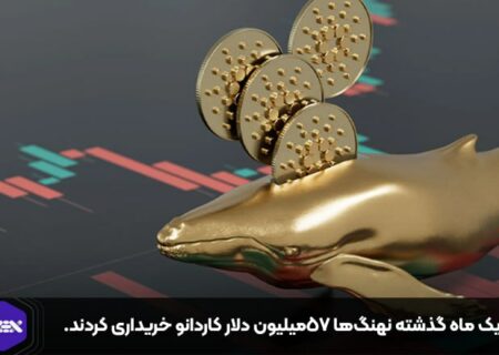 در یک ماه گذشته نهنگ‌ها ۵۷میلیون دلار کاردانو خریداری کردند.