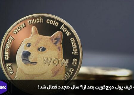 یک کیف پول دوج‌کوین بعد از ۹ سال مجدد فعال شد!