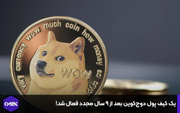 یک کیف پول دوج‌کوین بعد از ۹ سال مجدد فعال شد!