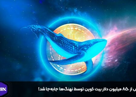 بیش از ۸۵۰ میلیون دلار بیت کوین توسط نهنگ‌ها جابه‌جا شد!