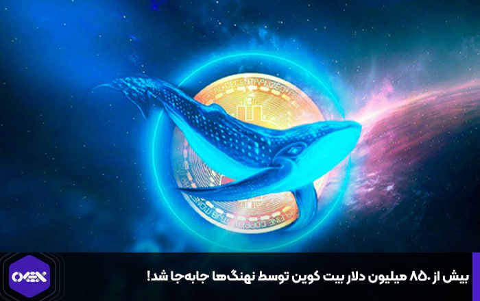 بیش از ۸۵۰ میلیون دلار بیت کوین توسط نهنگ‌ها جابه‌جا شد!