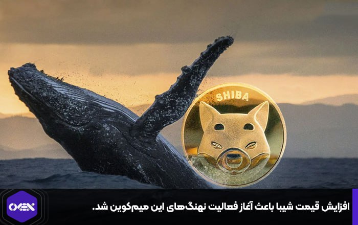 افزایش قیمت شیبا باعث آغاز فعالیت نهنگ‌های این میم‌کوین شد.