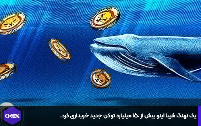 یک نهنگ شیبا اینو بیش از ۱۵۰ میلیارد توکن جدید خریداری کرد.