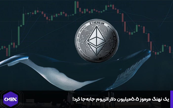 یک نهنگ مرموز ۵۰۵میلیون دلار اتریوم جابه‌جا کرد!