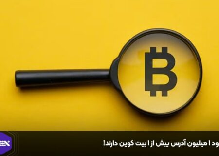 حدود ۱ میلیون آدرس بیش از ۱ بیت کوین دارند!