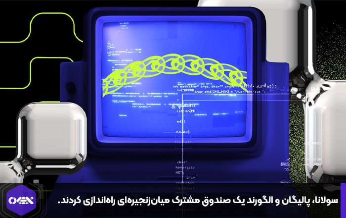 سولانا، پالیگان و الگورند یک صندوق مشترک میان‌زنجیره‌ای راه‌اندازی کردند.