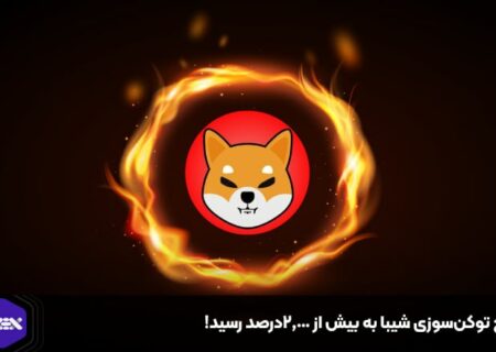 نرخ توکن‌سوزی شیبا به بیش از ۲,۰۰۰درصد رسید!