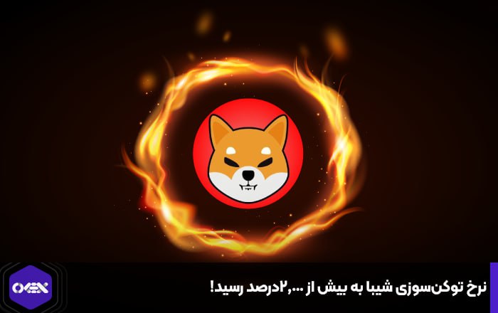 نرخ توکن‌سوزی شیبا به بیش از ۲,۰۰۰درصد رسید!
