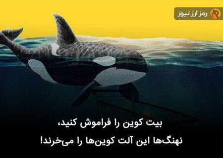 بیت کوین را فراموش کنید، نهنگ‌ها این آلت کوین‌ها را می‌خرند!