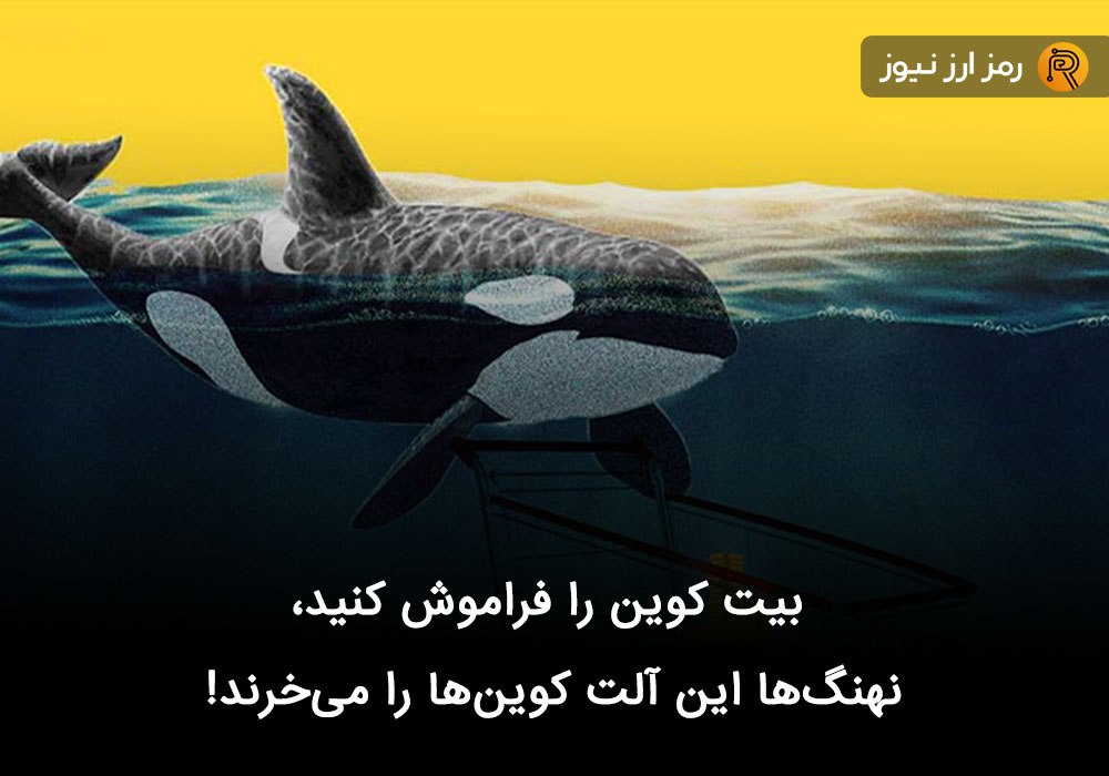 بیت کوین را فراموش کنید، نهنگ‌ها این آلت کوین‌ها را می‌خرند!