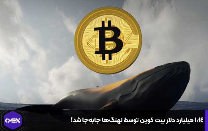 ۱.۱۴ میلیارد دلار بیت کوین توسط نهنگ‌ها جابه‌جا شد!