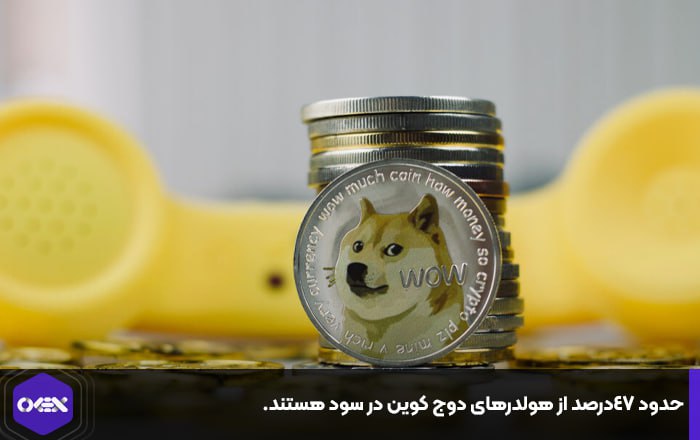 حدود ۴۷درصد از هولدرهای دوج کوین در سود هستند.