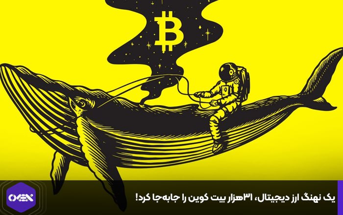 یک نهنگ ارز دیجیتال، ۳۱هزار بیت کوین را جابه‌جا کرد!