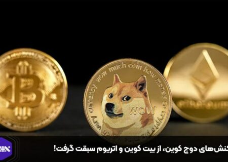 تراکنش‌های دوج کوین، از بیت کوین و اتریوم سبقت گرفت!