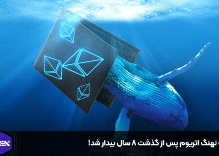 یک نهنگ اتریوم پس از گذشت ۸ سال بیدار شد!