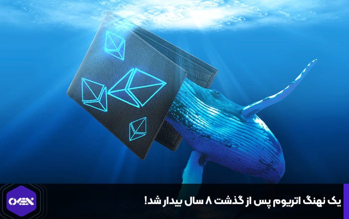 یک نهنگ اتریوم پس از گذشت ۸ سال بیدار شد!