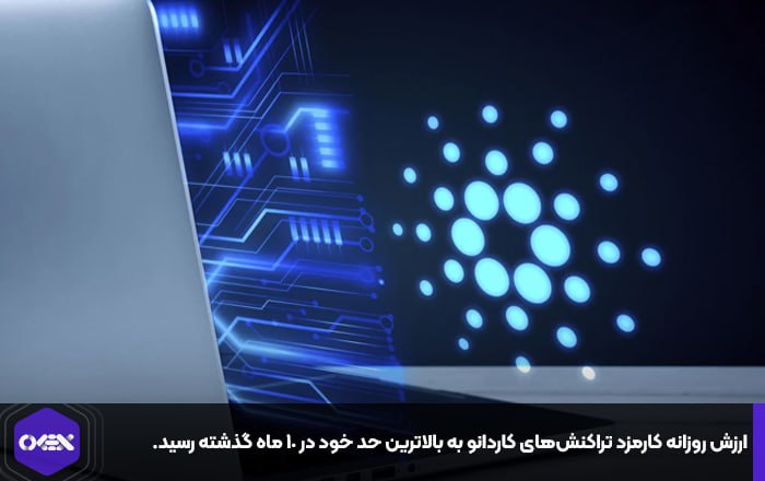 ارزش روزانه کارمزد تراکنش‌های کاردانو به بالاترین حد خود در ۱۰ ماه گذشته رسید.