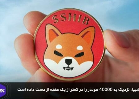 شیبا، نزدیک به ۴۰ هزار هولدر را در کمتر از یک هفته از دست داده است!