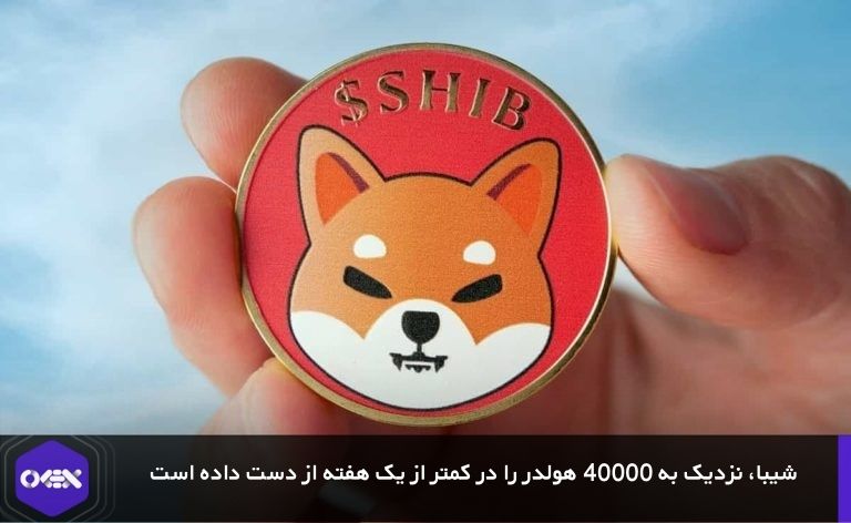 شیبا، نزدیک به ۴۰ هزار هولدر را در کمتر از یک هفته از دست داده است!