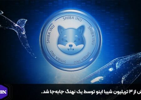 بیش از ۳ تریلیون شیبا اینو توسط یک نهنگ جابه‌جا شد.