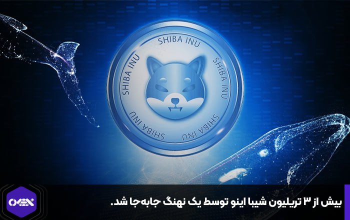 بیش از ۳ تریلیون شیبا اینو توسط یک نهنگ جابه‌جا شد.