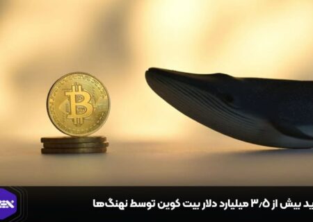 خرید بیش از ۳.۵ میلیارد دلار بیت کوین توسط نهنگ‌ها