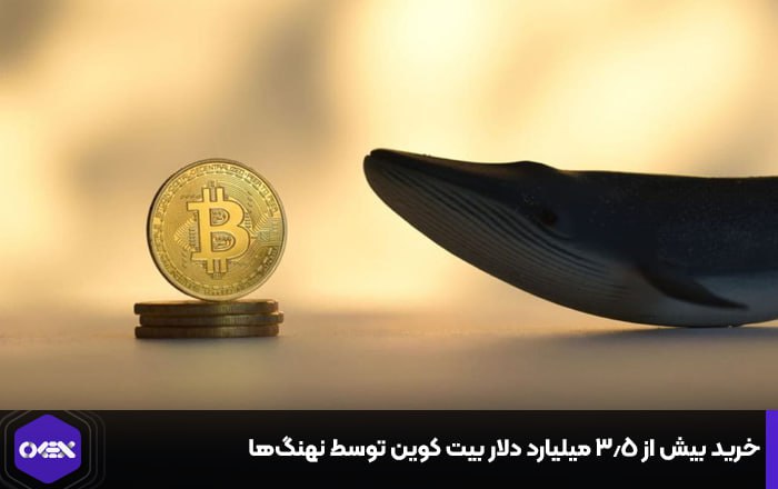 خرید بیش از ۳.۵ میلیارد دلار بیت کوین توسط نهنگ‌ها