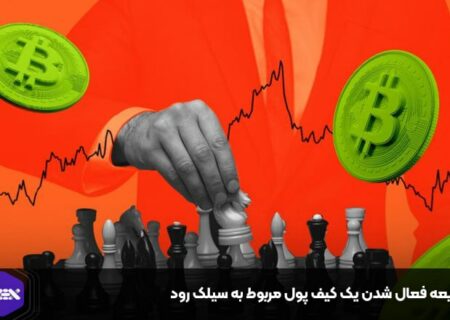 شایعه فعال شدن یک کیف پول مربوط به سیلک رود