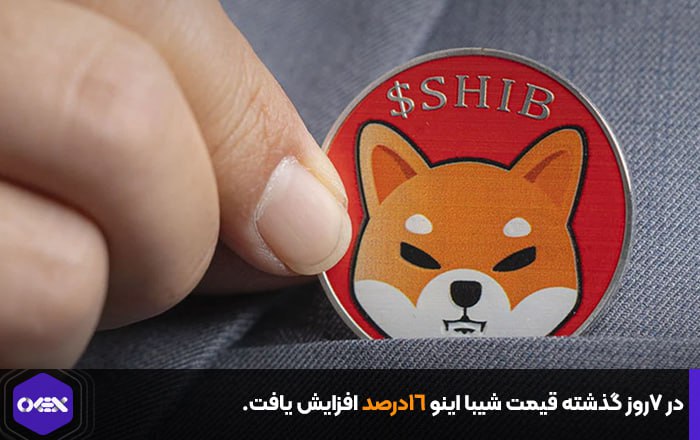 در ۷روز گذشته قیمت شیبا اینو ۱۶درصد افزایش یافت.