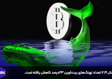 از سال ۲۰۲۱ تعداد نهنگ‌های بیت‌کوین ۲۳درصد کاهش یافته است.