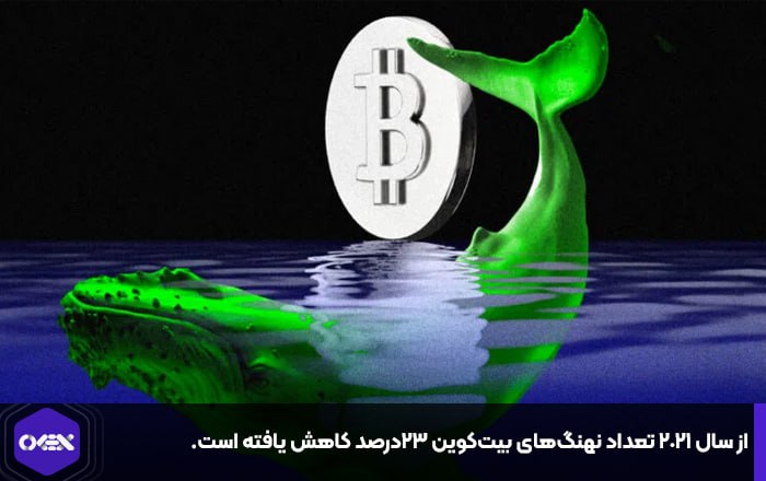 از سال ۲۰۲۱ تعداد نهنگ‌های بیت‌کوین ۲۳درصد کاهش یافته است.
