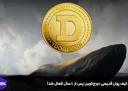 یک کیف پول قدیمی دوج‌کوین پس از ۱۰ سال فعال شد!
