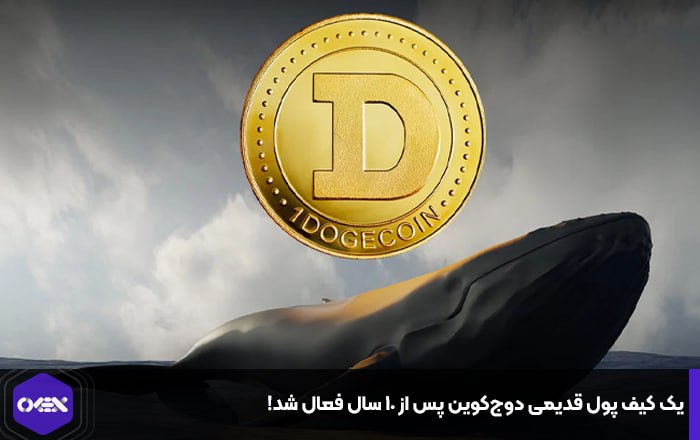 یک کیف پول قدیمی دوج‌کوین پس از ۱۰ سال فعال شد!