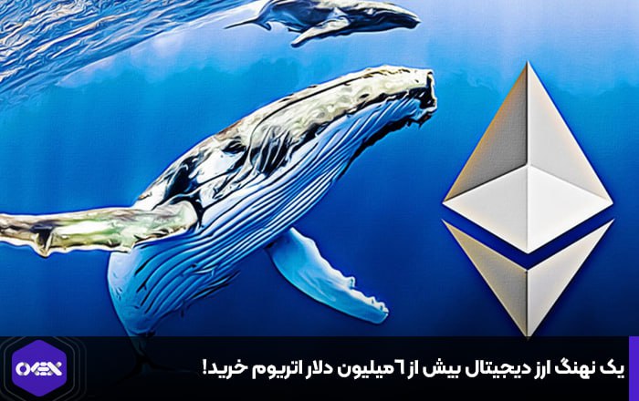 یک نهنگ ارز دیجیتال بیش از ۶میلیون دلار اتریوم خرید!