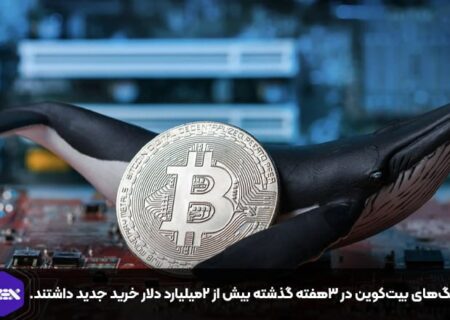 نهنگ‌های بیت‌کوین در ۳هفته گذشته بیش از ۲میلیارد دلار خرید جدید داشتند.