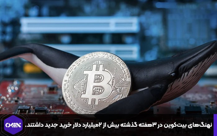 نهنگ‌های بیت‌کوین در ۳هفته گذشته بیش از ۲میلیارد دلار خرید جدید داشتند.
