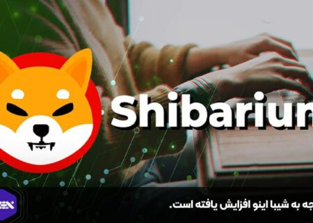 توجه به شیبا اینو افزایش یافته است.