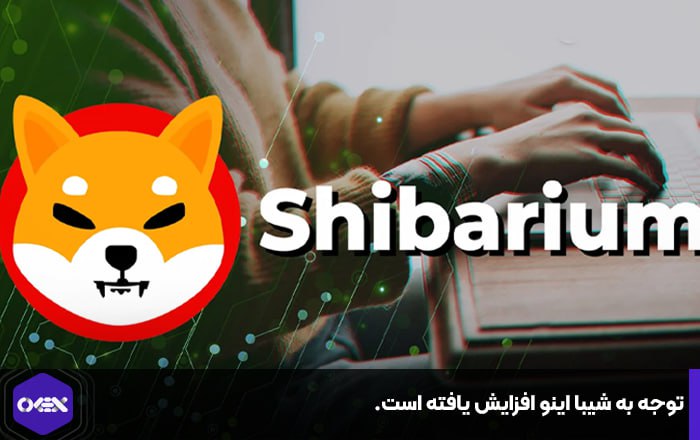 توجه به شیبا اینو افزایش یافته است.