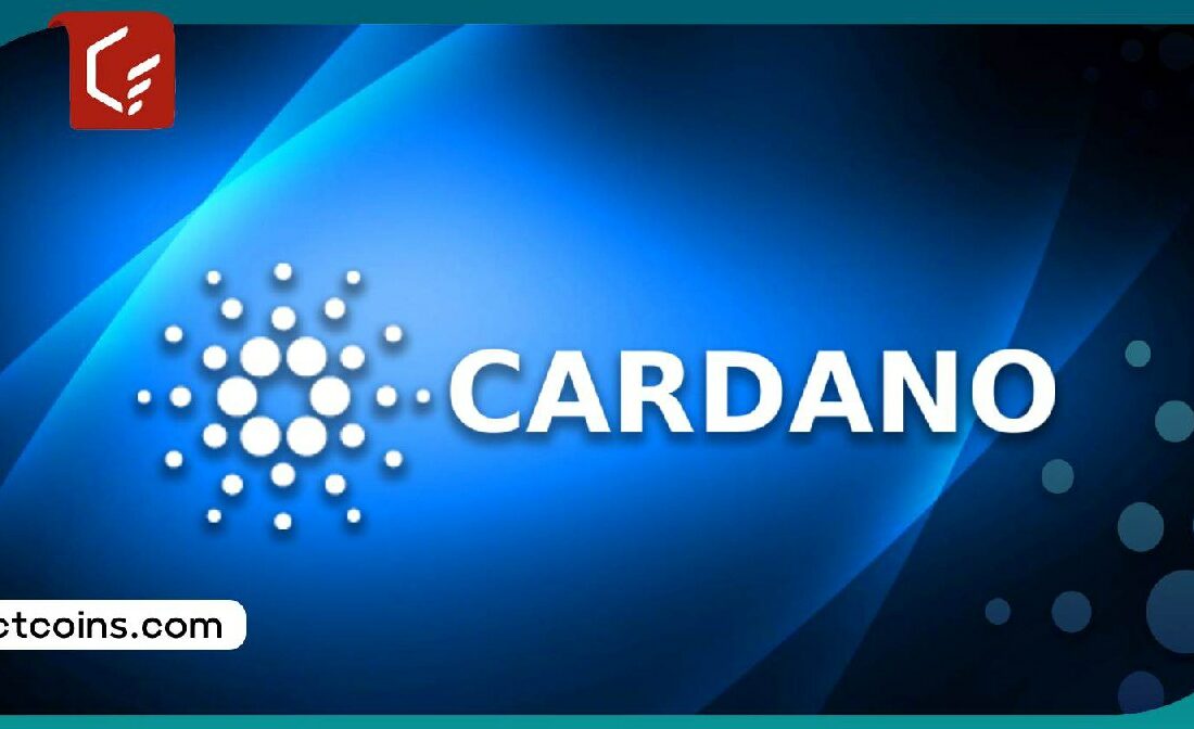 ایردراپ شبکه میدنایت برای هولدرهای کاردانو؛ ماجرا چیست؟