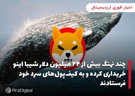 چند نهنگ بیش از ۲۴ میلیون دلار شیبا اینو خریداری کرده و به کیف‌پول‌های سرد خود فرستادند